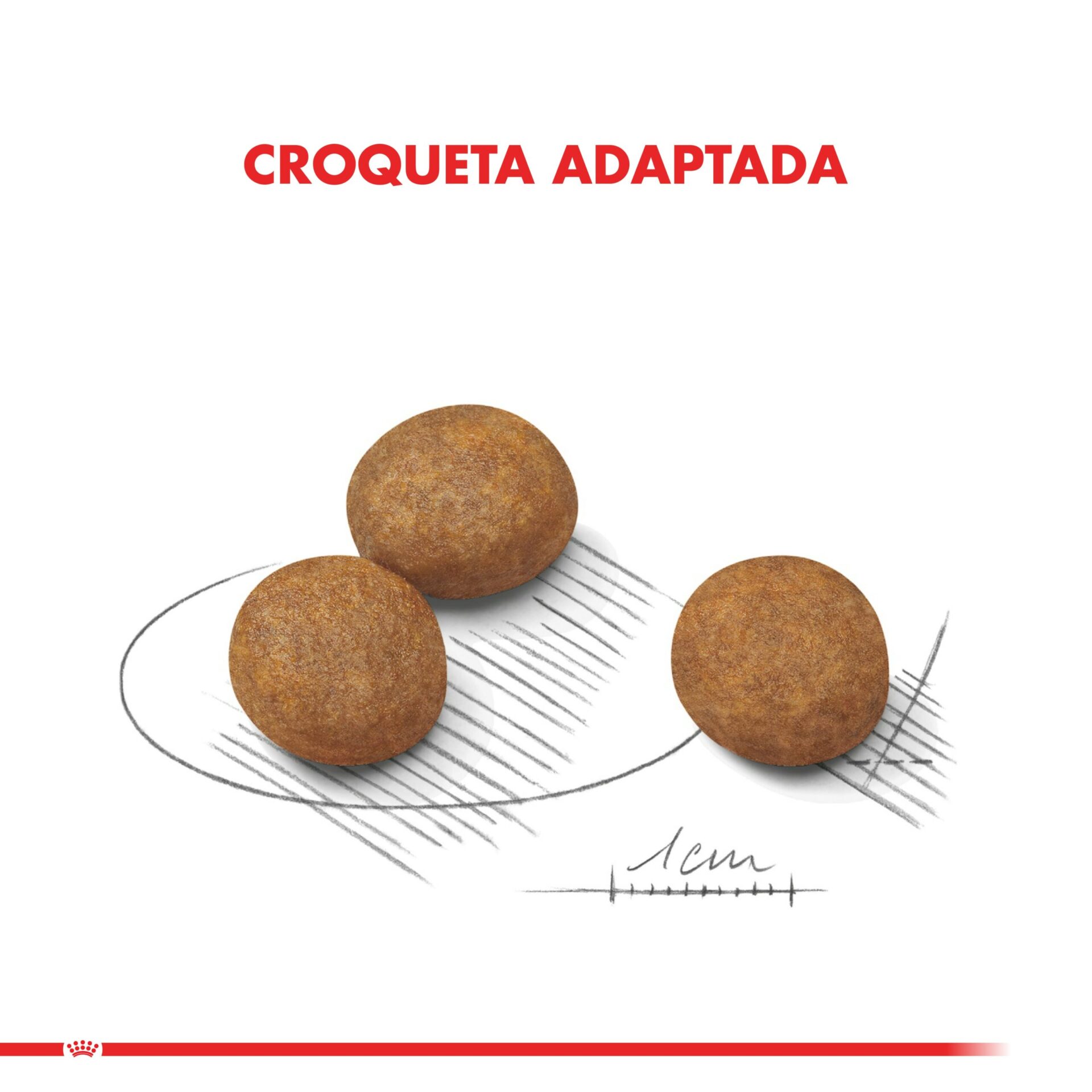 Royal Canin Maxi Puppy (Maxi Junior) 12 KG 2 Royal Canin Maxi Puppy (Maxi Junior) 12 KG - Imagen 2