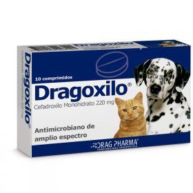 Dragoxilo 220mg