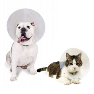 Collar Isabelino 40 Cm.