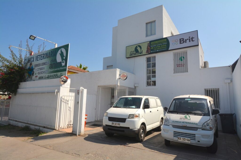 Clínica veterinaria 24 horas