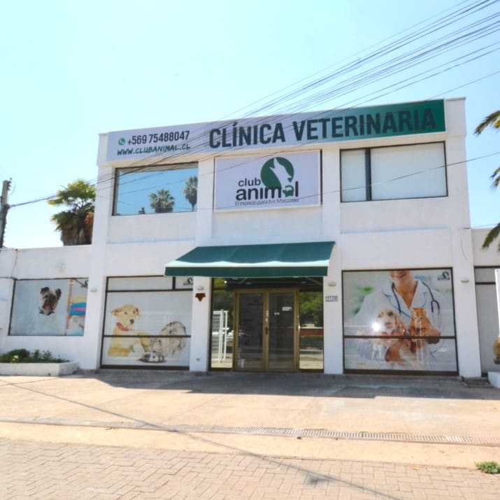 Tienda de Mascotas